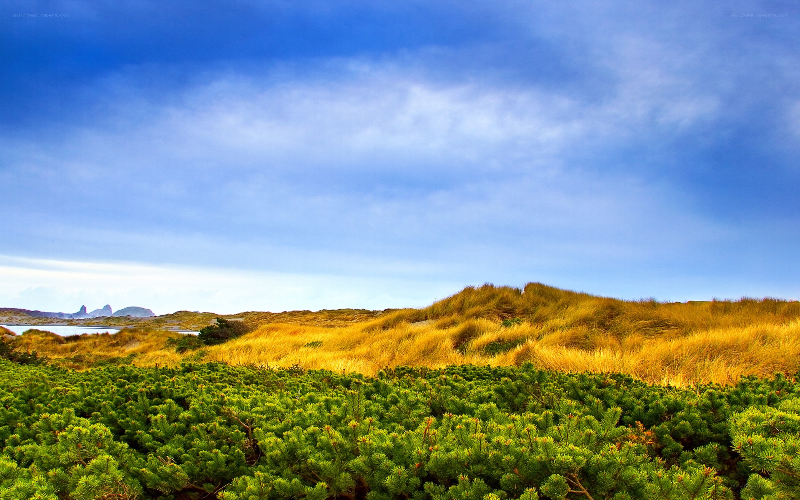 Coastal dunes under blue sky