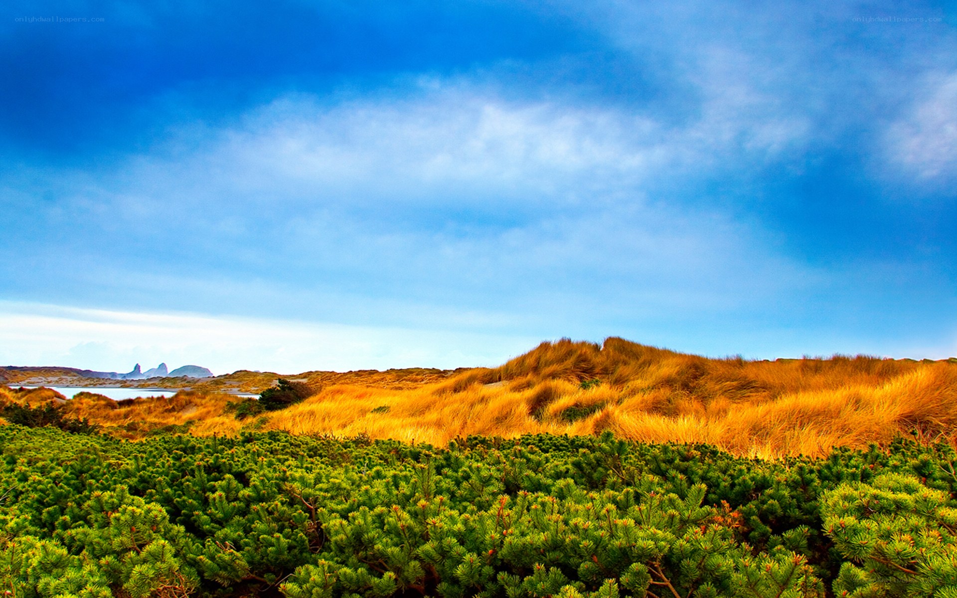 Coastal dunes under blue sky