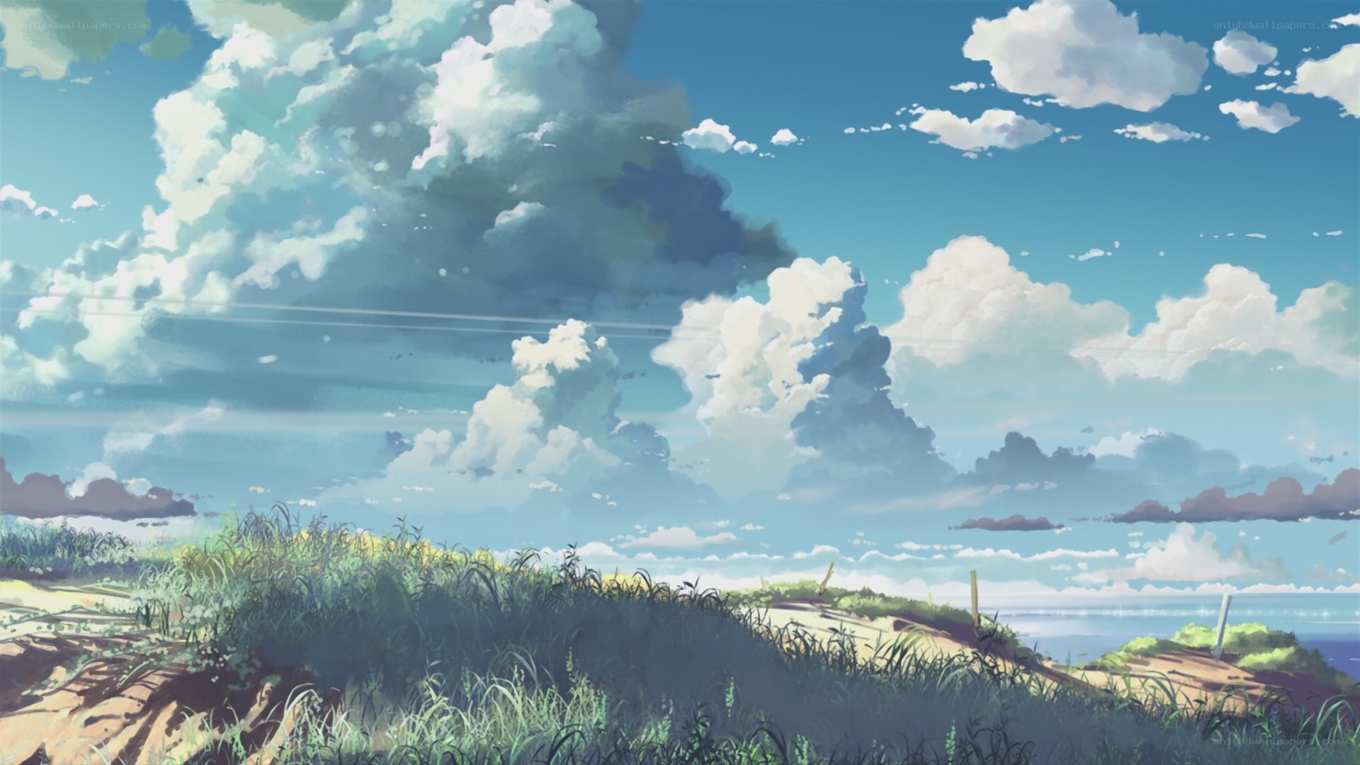Coastal dunes under cloudy sky
