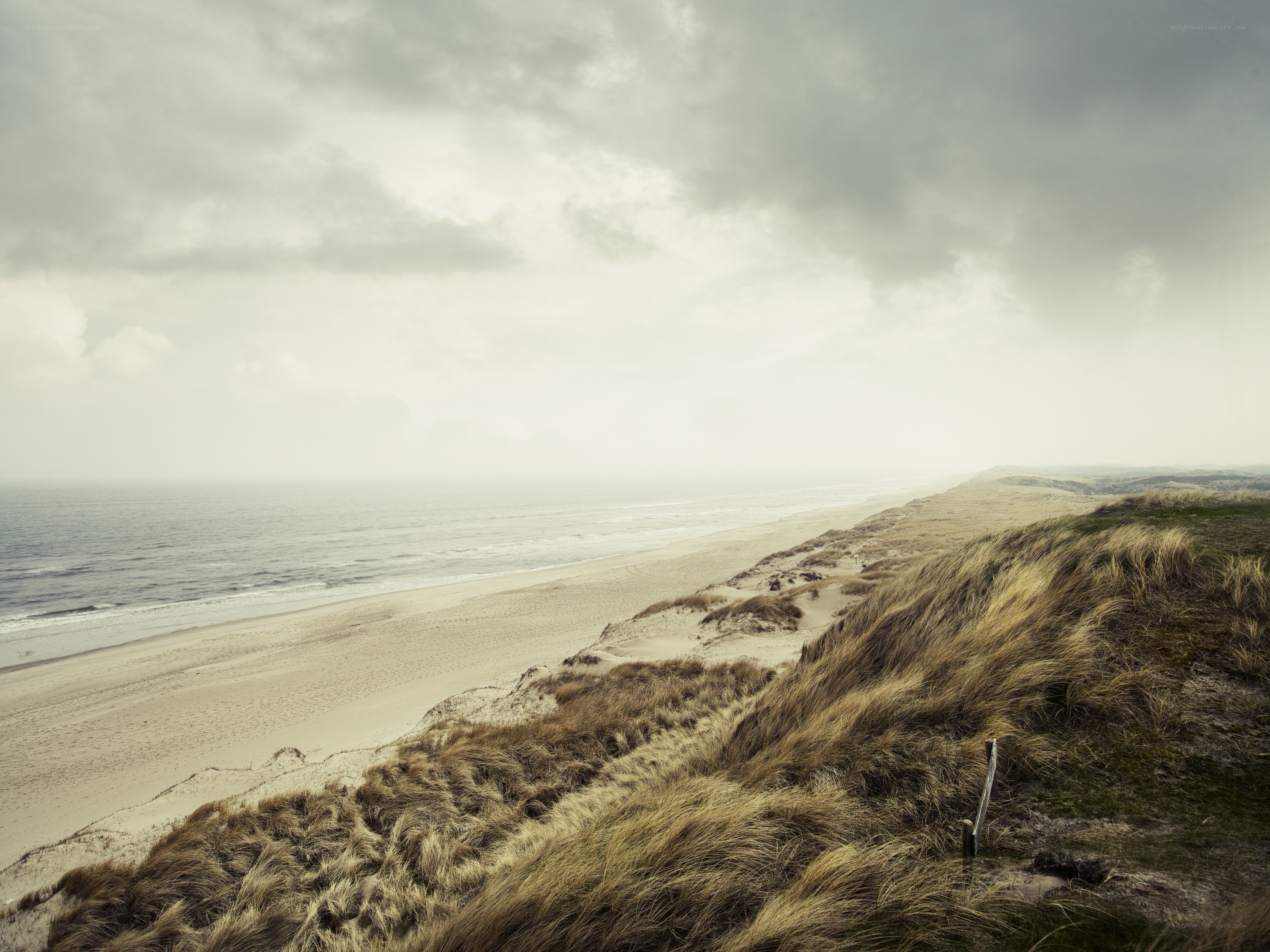 coastal dunes under cloudy sky