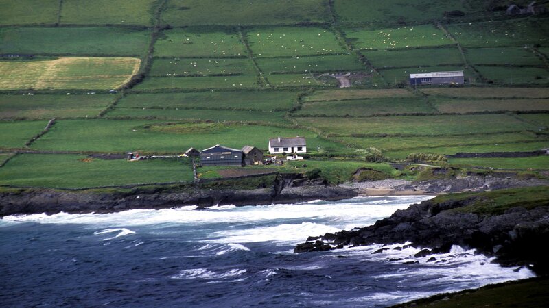 coastal farm in green fields