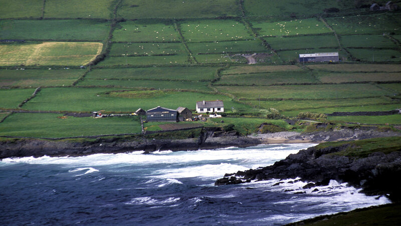 Coastal Farm on Green Hills — Serene