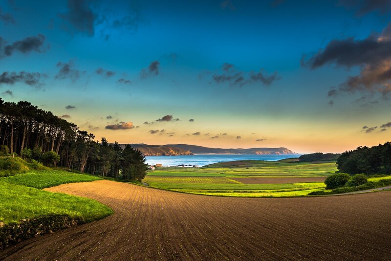 Coastal Fields at Sunset — Blue, Serene