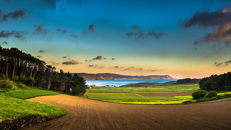 Coastal Fields at Sunset — Blue