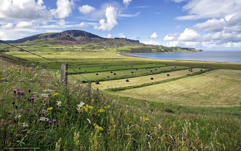 Coastal fields with mountain view