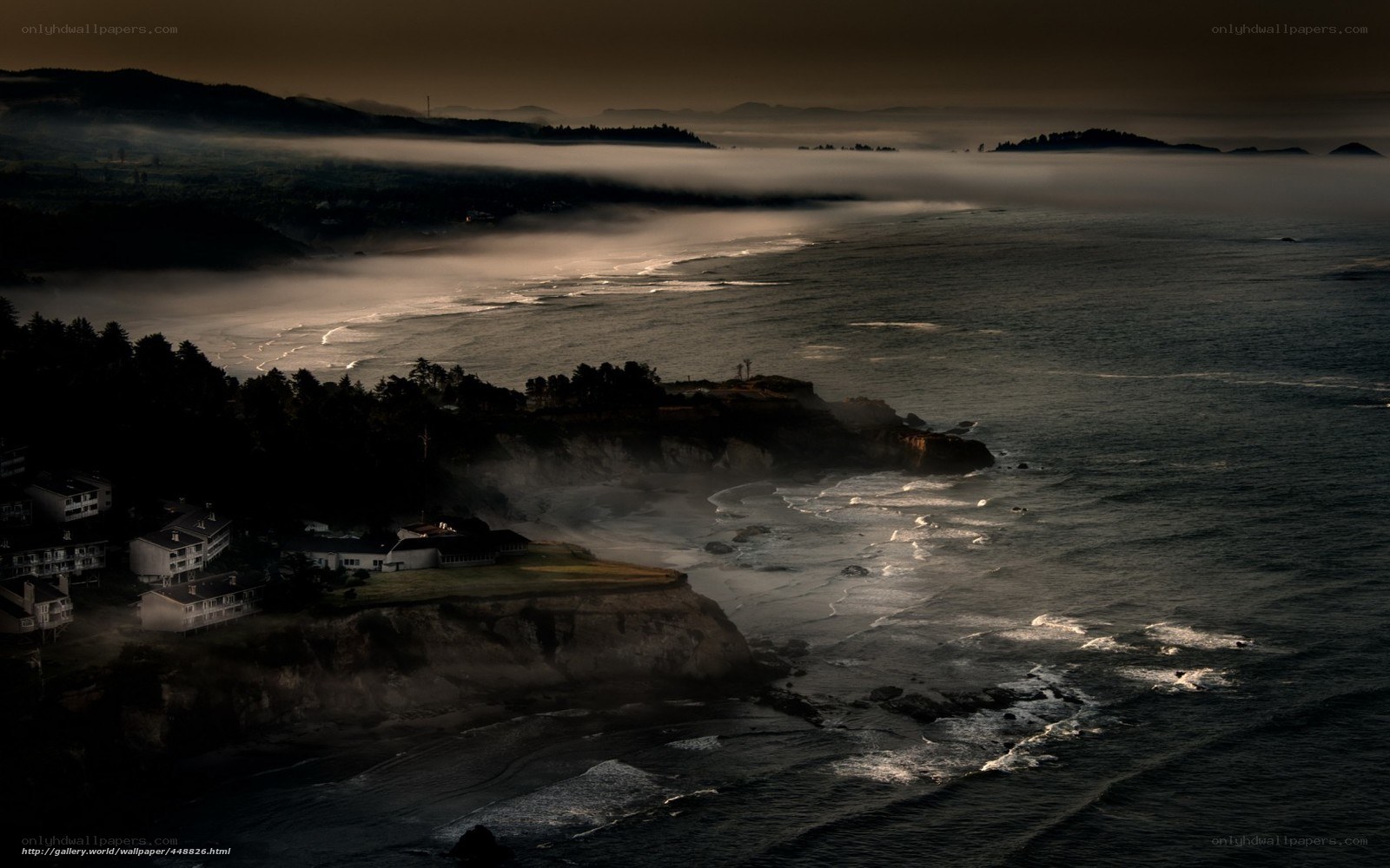 coastal fog at dawn