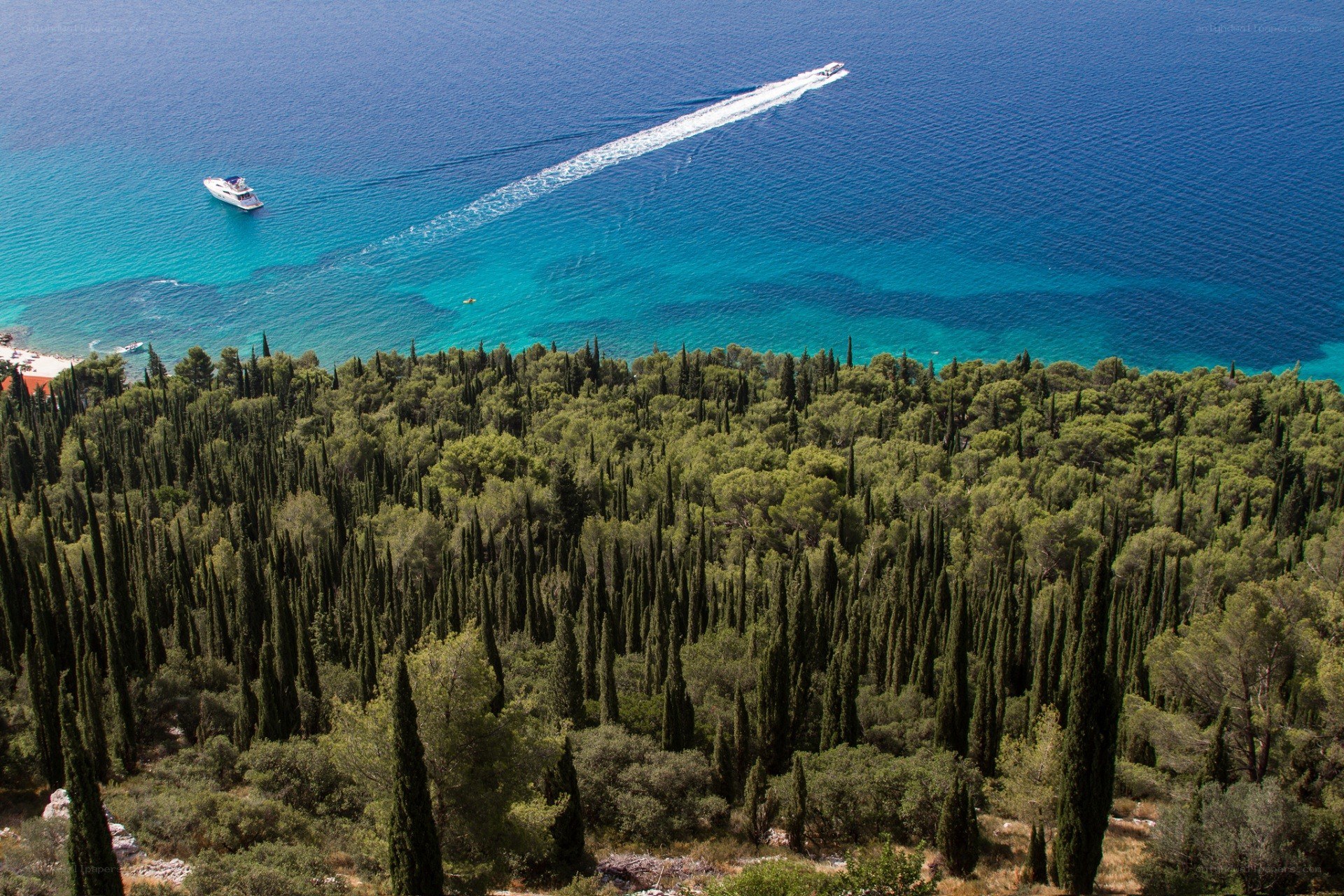 Coastal forest and boats