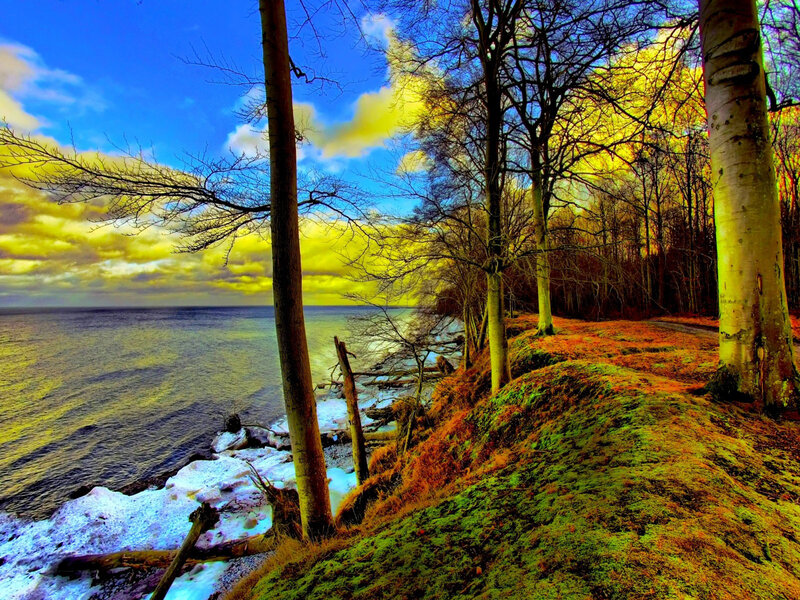 Coastal Forest Landscape — Blue