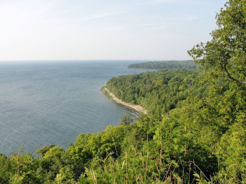 coastal forest view from cliff