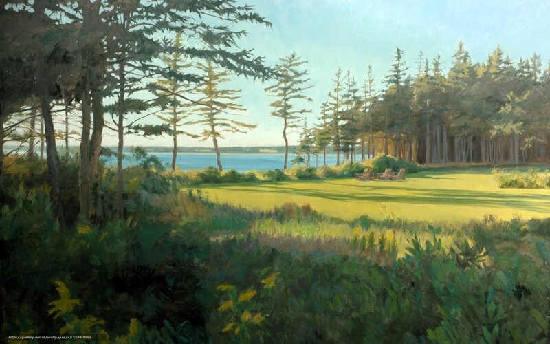 Coastal Forest View