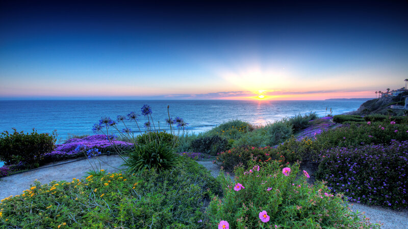 Coastal Garden at Sunset — Blue, Serene, Photograph, Ocean