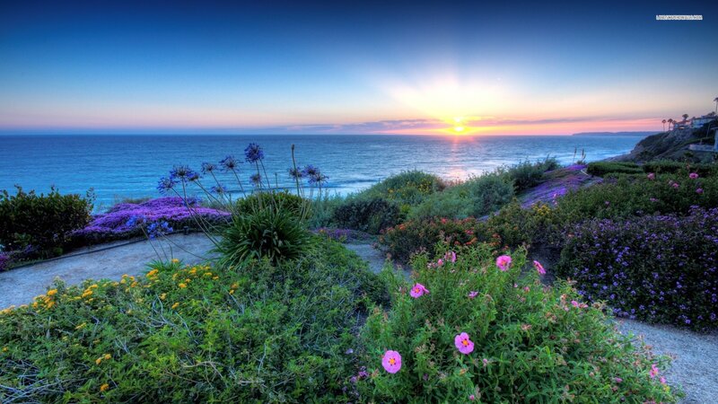 Coastal Garden at Sunset — Blue, Serene
