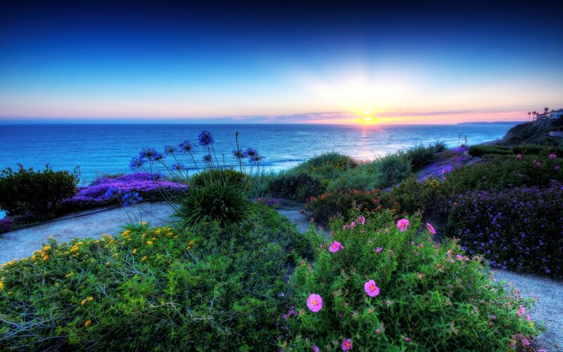 Coastal Garden at Sunset — Blue
