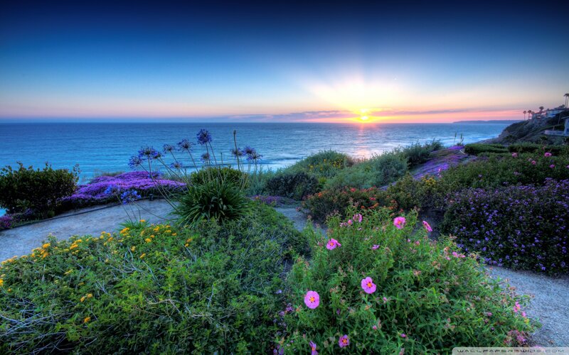 Coastal Garden at Sunset