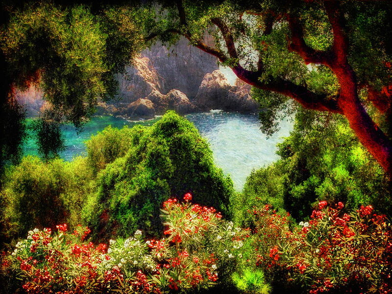 Coastal Garden View