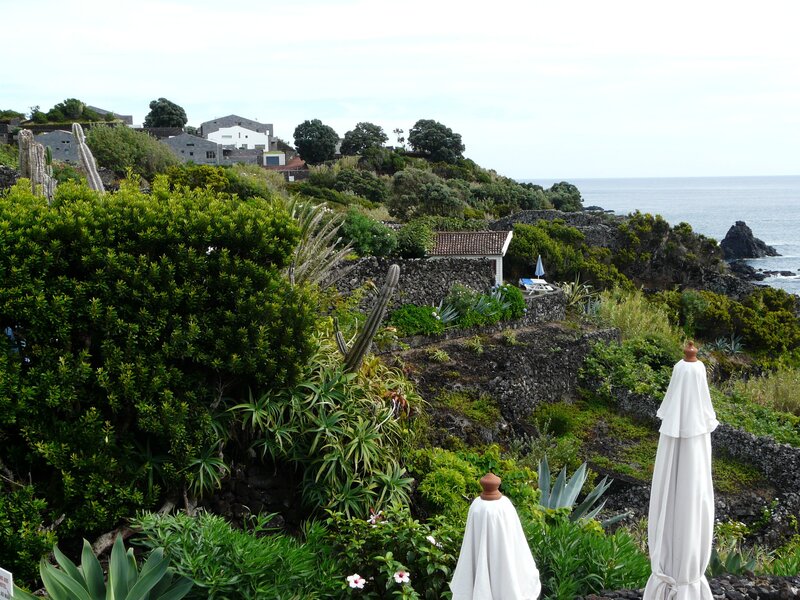 Coastal garden with ocean view
