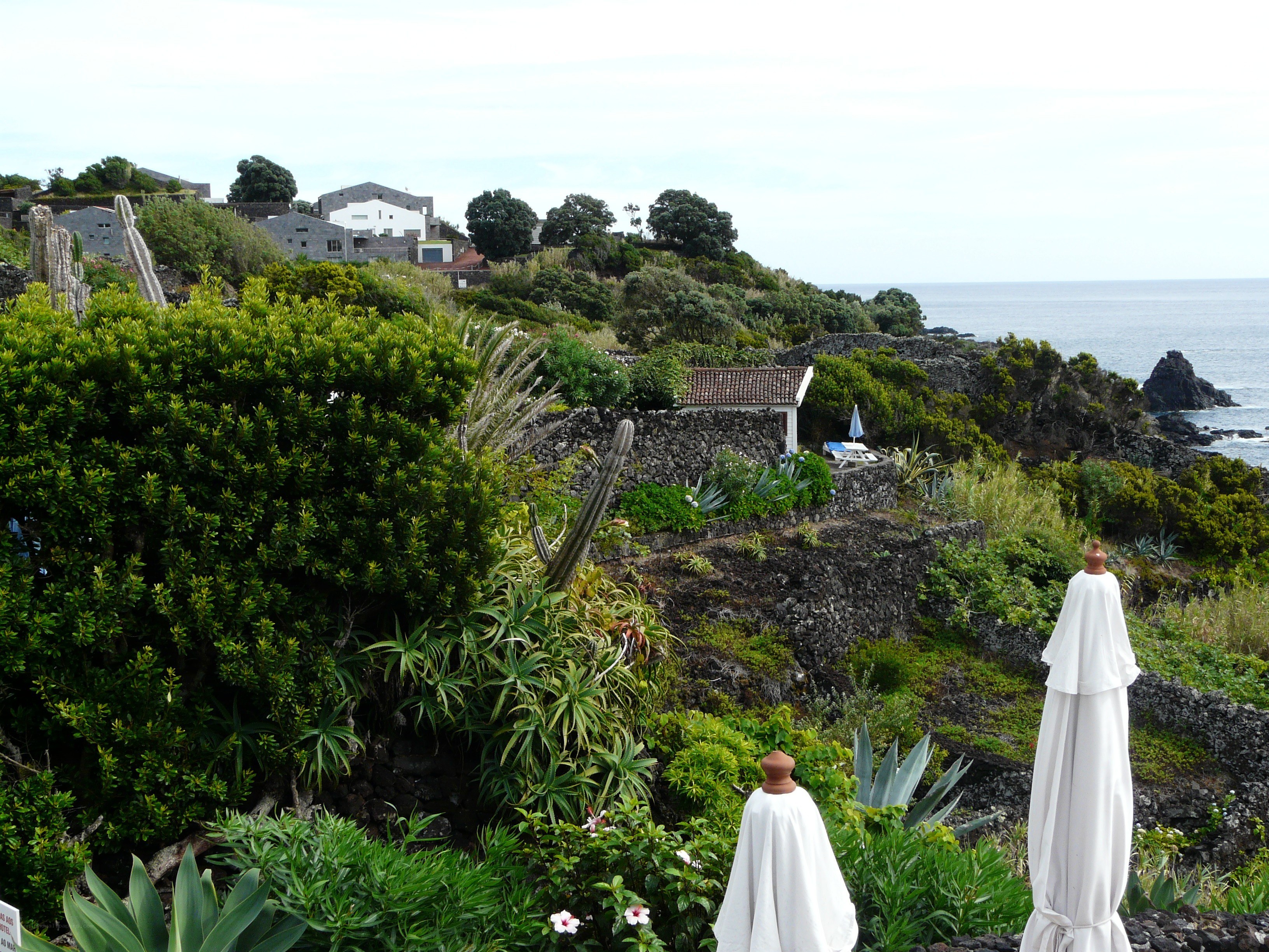 Coastal garden with ocean view