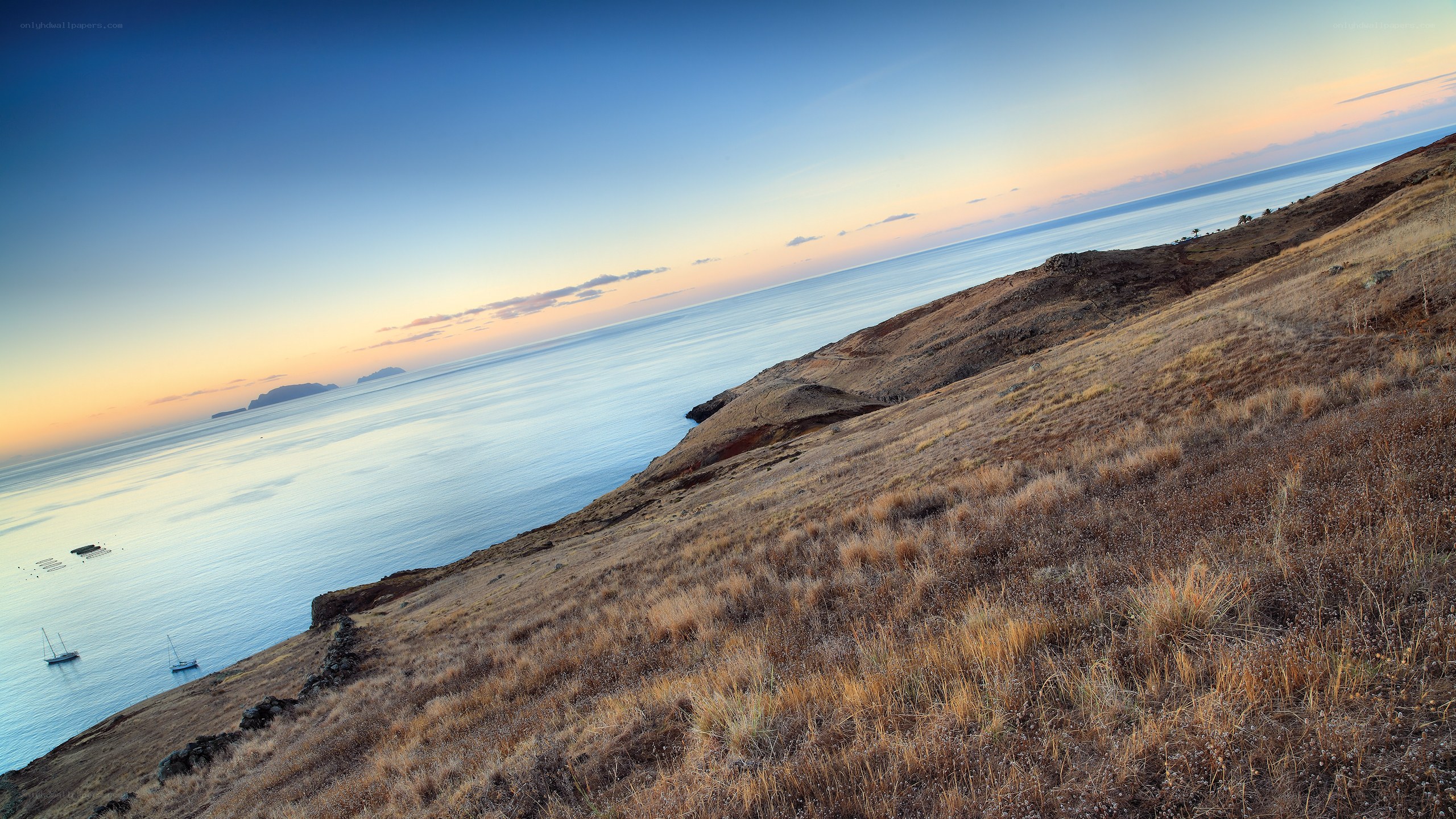 coastal hill at sunset