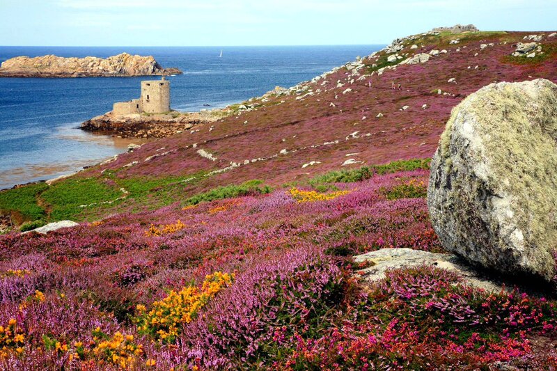 Coastal Hill with Flowers