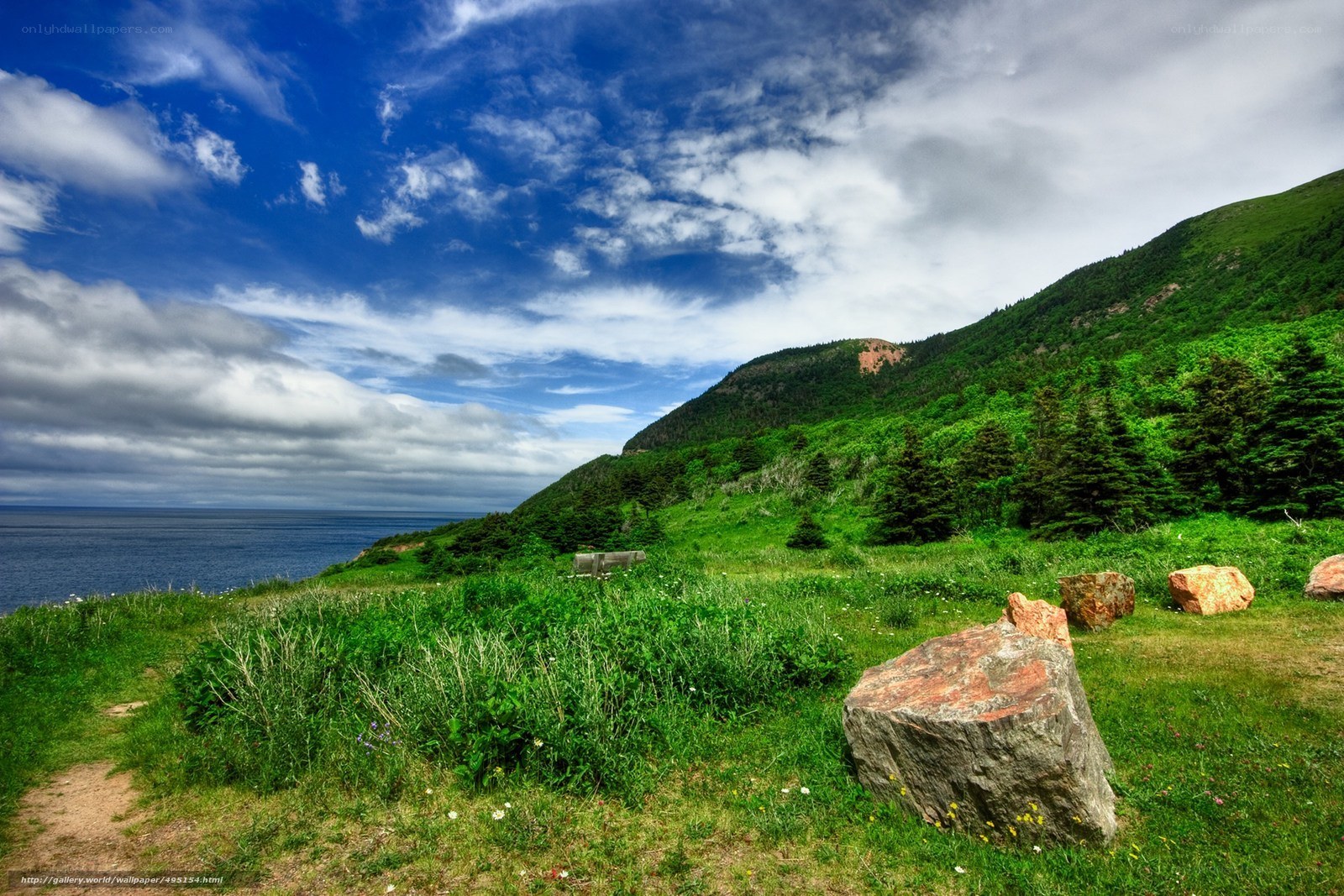 Coastal Hill with Ocean View