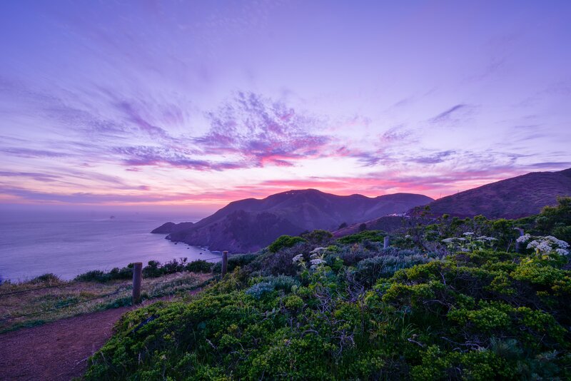 Coastal Hills at Sunset — Purple