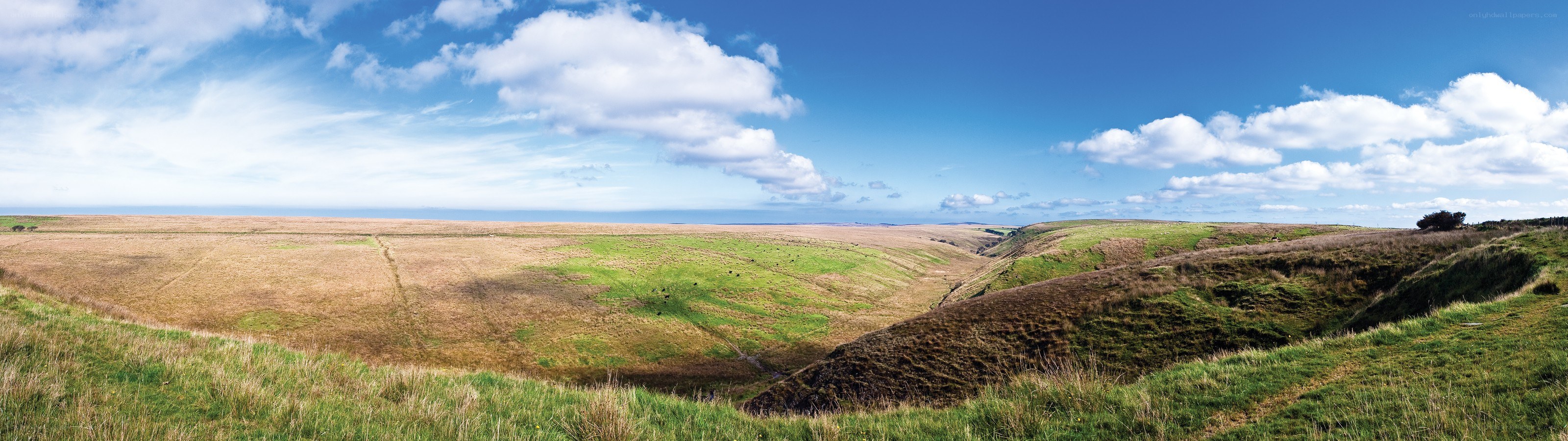 coastal hills under blue sky