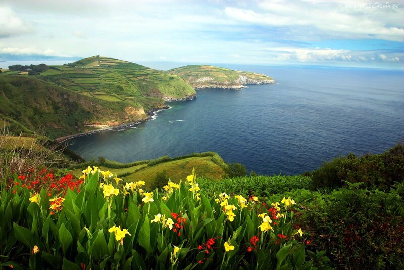 Coastal Hills with Flowers