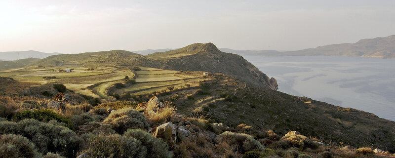 coastal hills with terraced fields