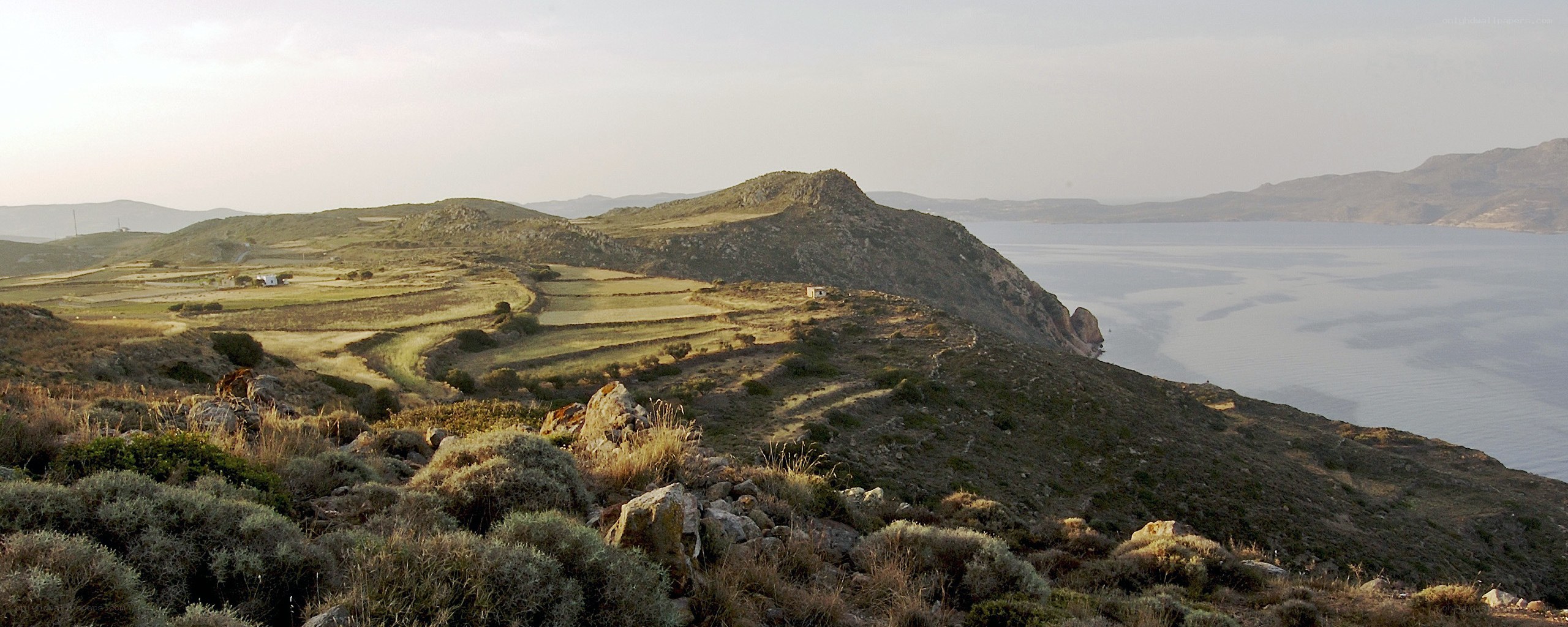 coastal hills with terraced fields