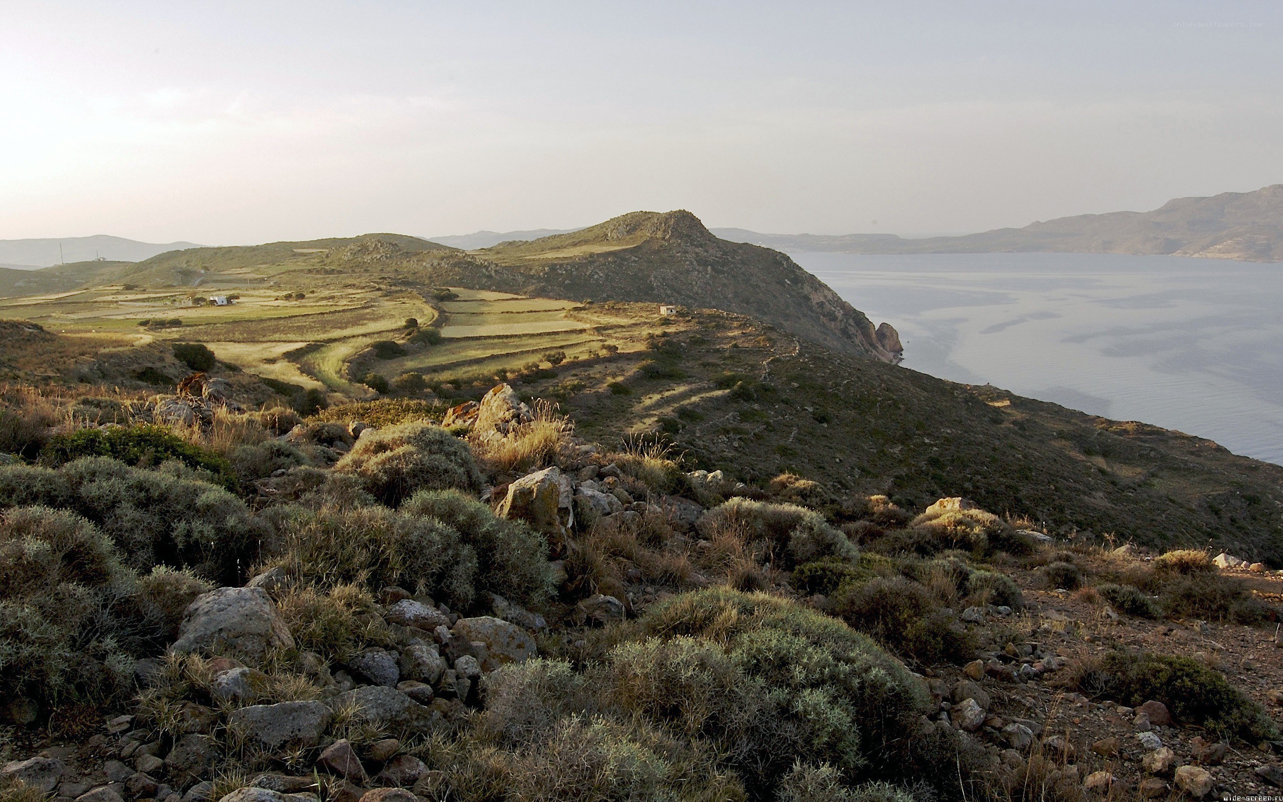 coastal hills with terraced fields