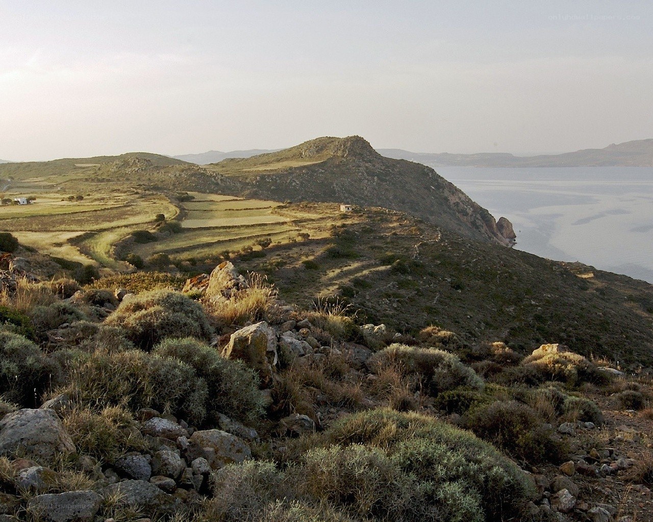 coastal hills with terraced fields