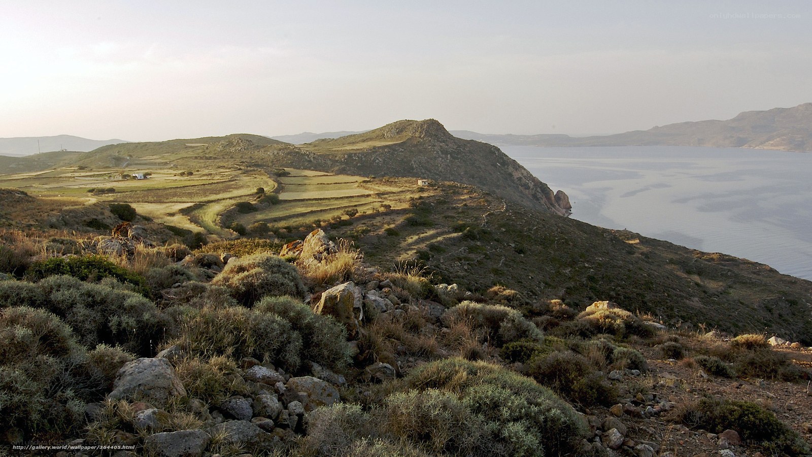 Coastal hills with terraced fields