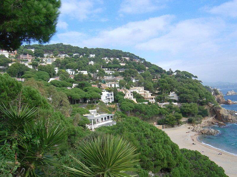 Coastal Hillside Homes