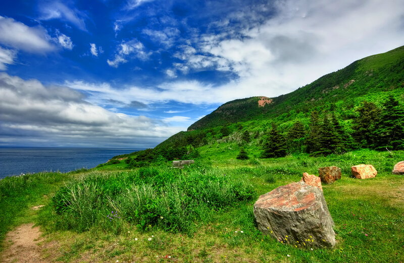 Coastal Hillside Landscape