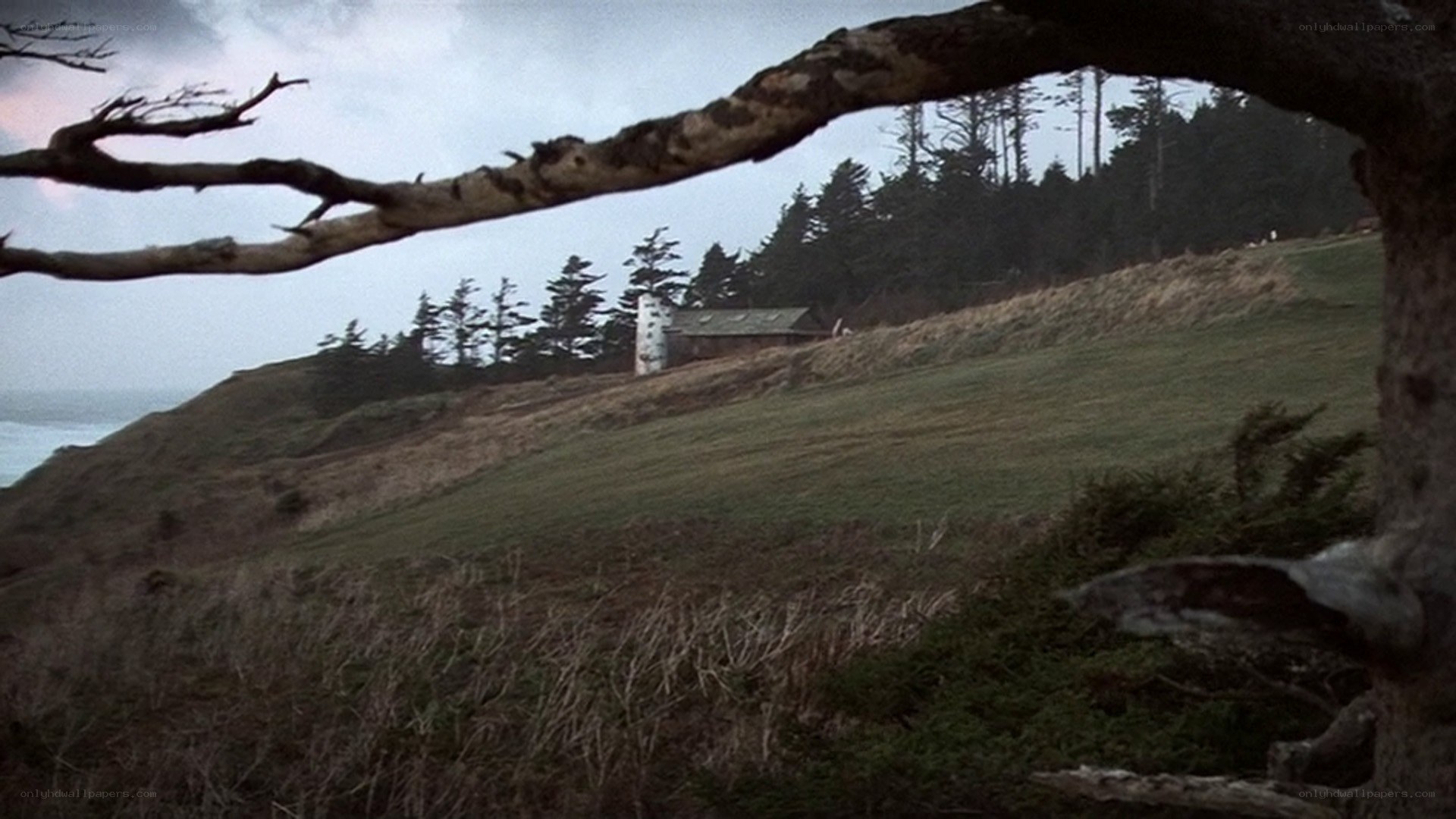 coastal hillside with cabin