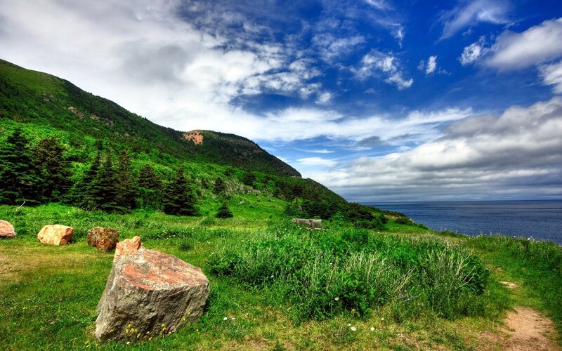 Coastal hillside with ocean view