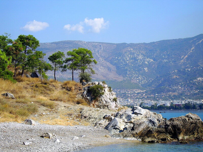 Coastal Hillside with Trees