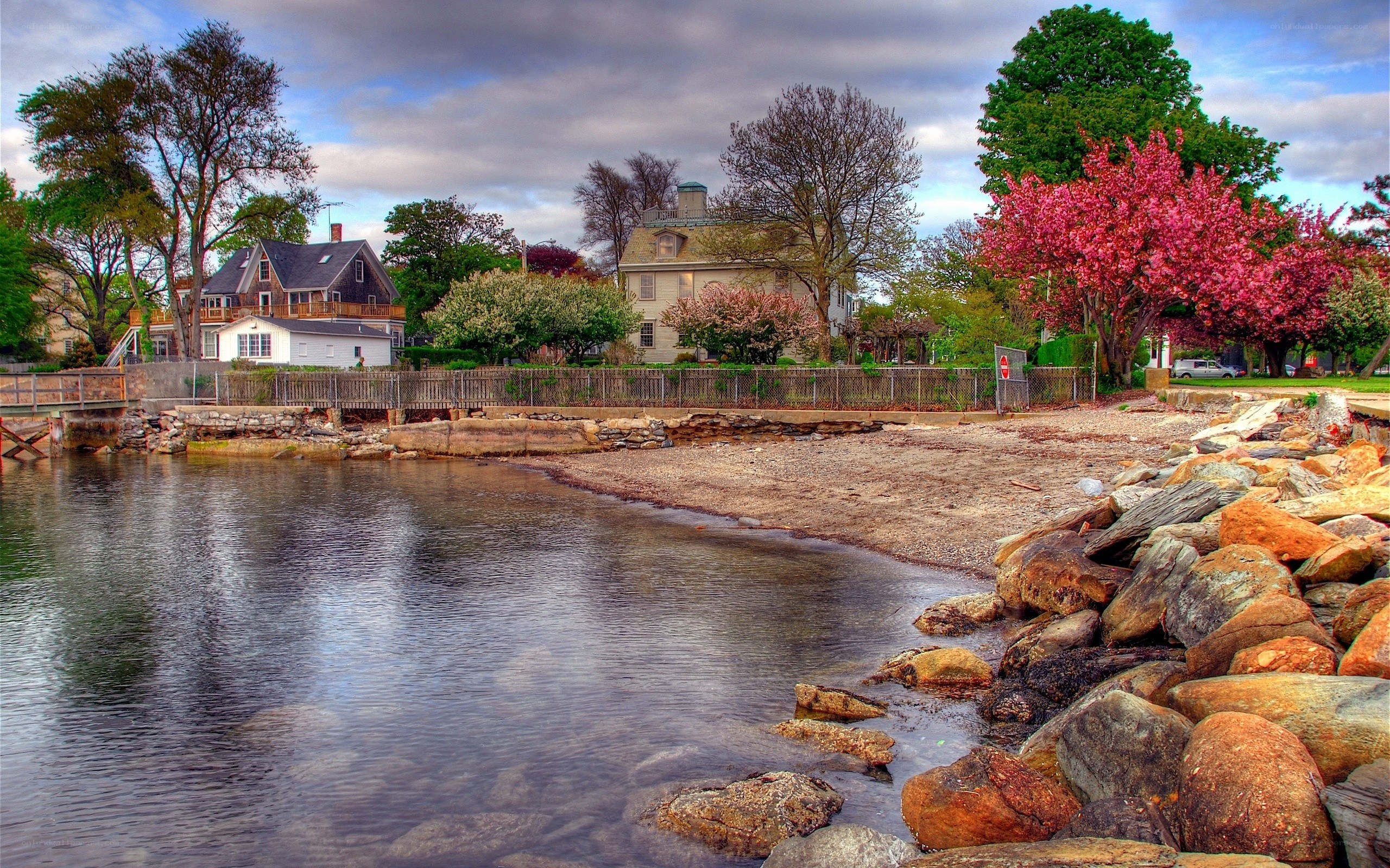 Coastal homes with blooming trees