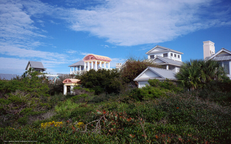 Coastal homes with lush greenery