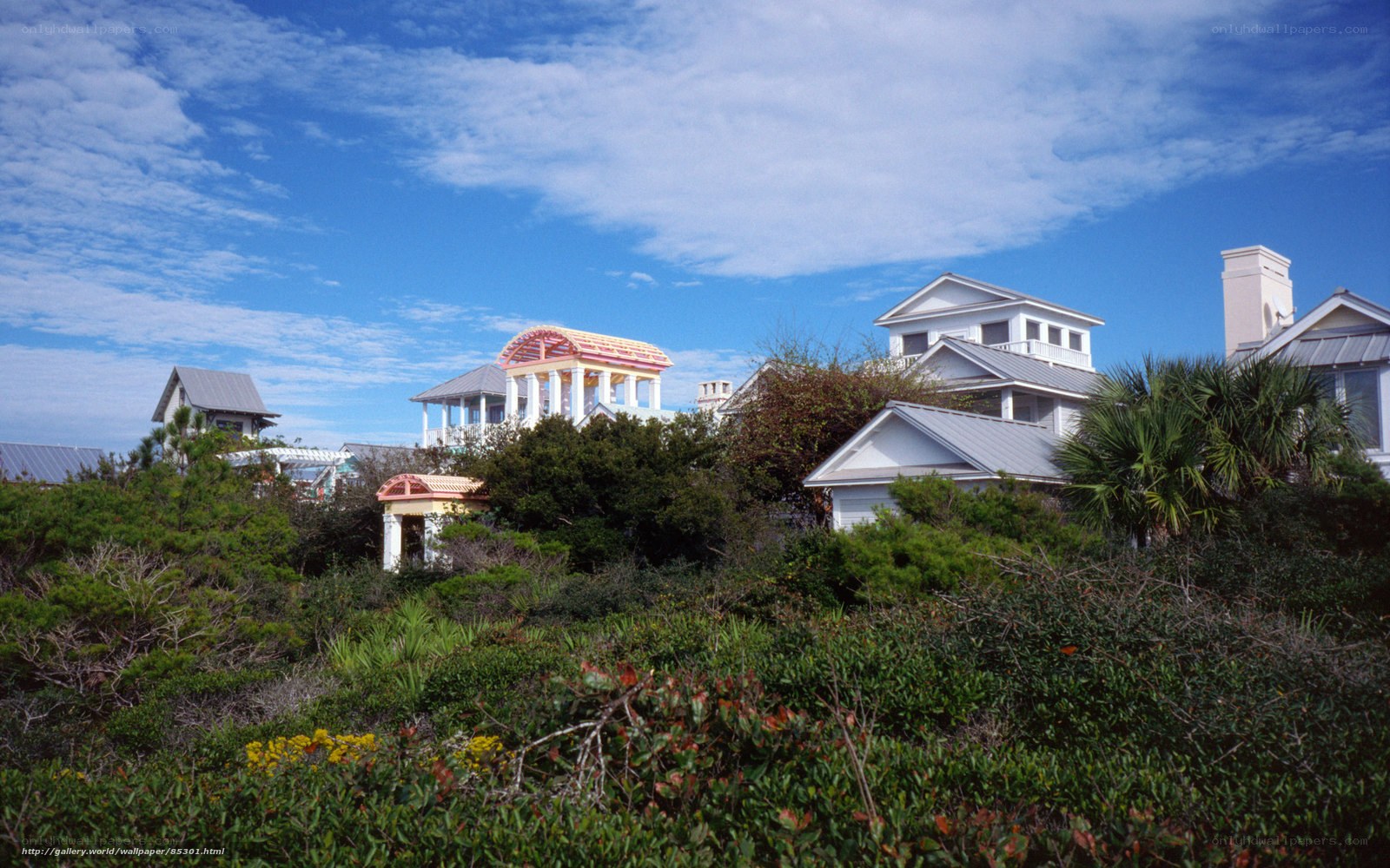 Coastal homes with lush greenery