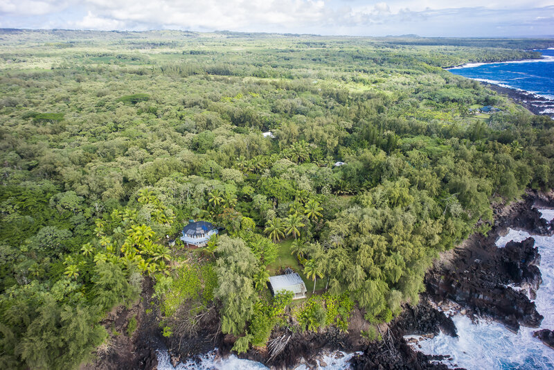 Coastal House in Forest