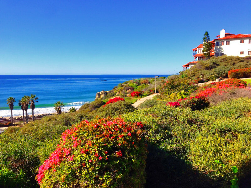Coastal House with Flowers — Blue