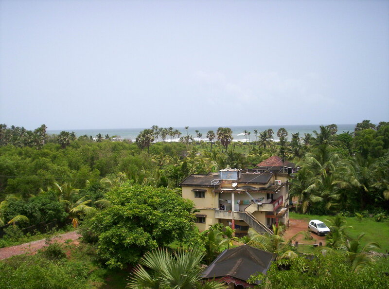Coastal House with Palm Trees