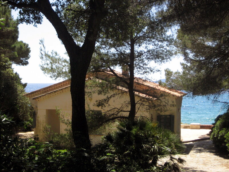 Coastal House with Trees