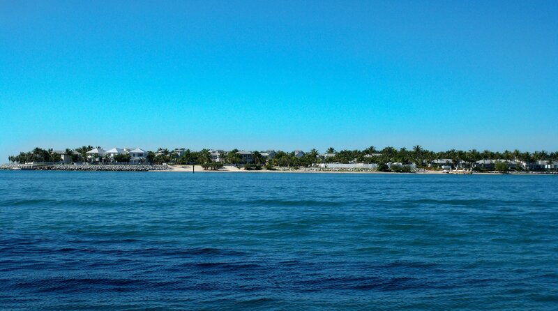 Coastal Houses and Palm Trees