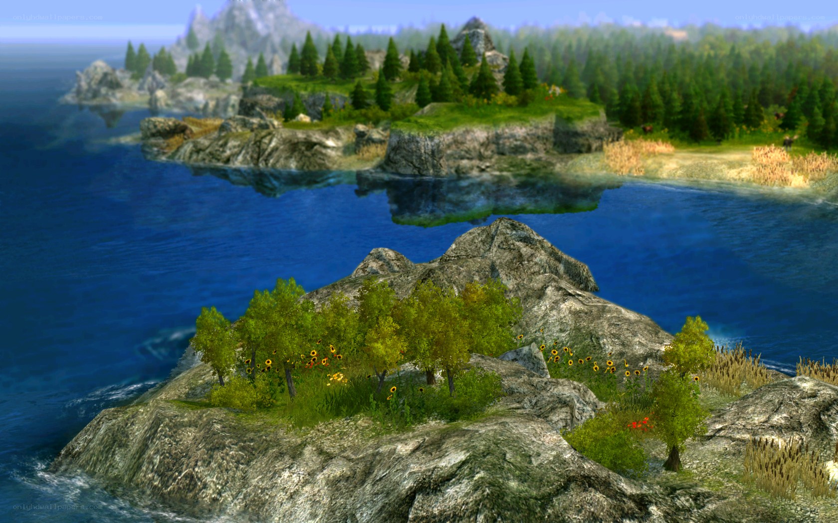 coastal island landscape