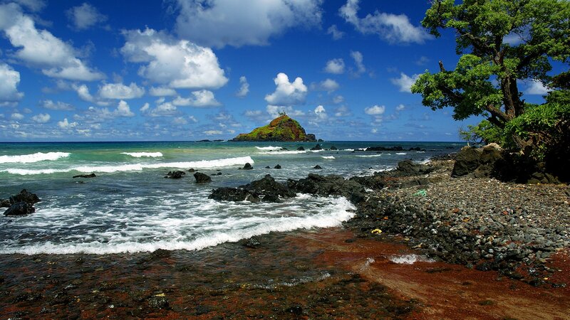 coastal island with rocky shore
