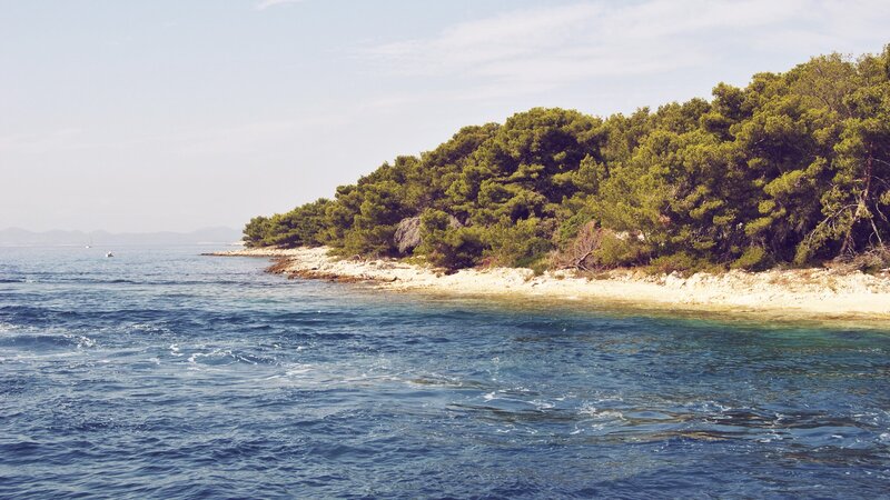 Coastal Island with Trees