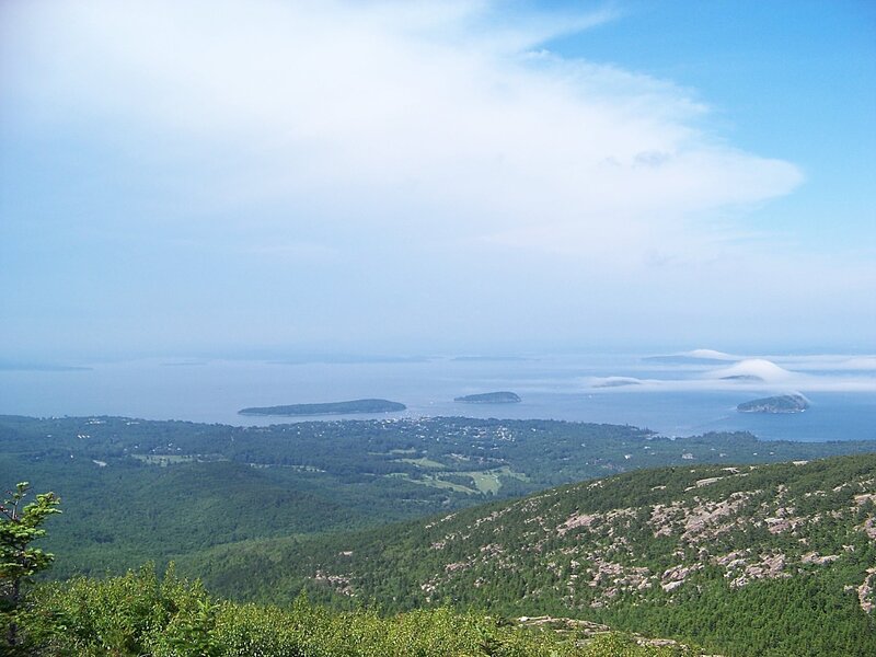 Coastal Islands and Forest