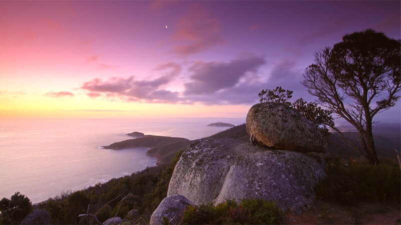 Coastal Landscape at Dusk — Purple, Serene, Sunset, Photograph